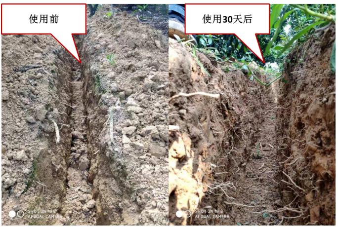 “土壤板結(jié)克星”:土壤調(diào)理劑你了解多少?