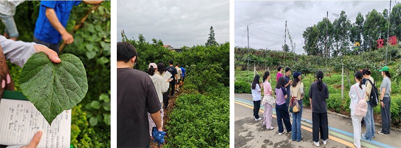 首個！中國農(nóng)業(yè)大學攜手新朝陽啟動“朝陽稼穡計劃”