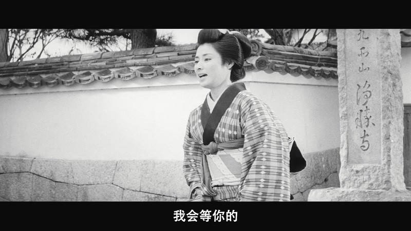 c659c2d9ebe234a1.png