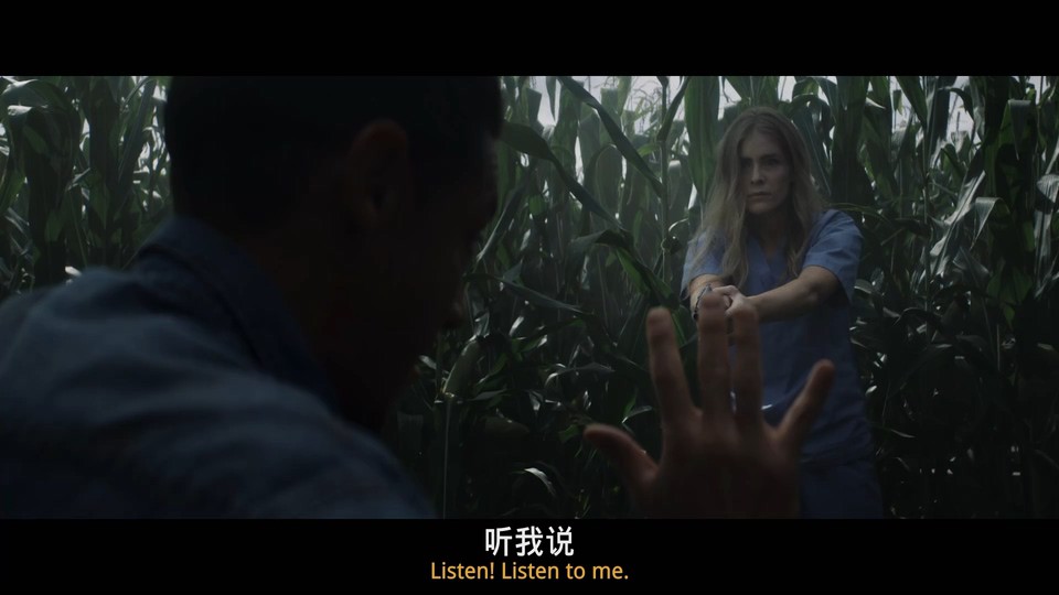 35bfa296c7733304.png