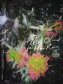 【The Cloud in Her Room】海报